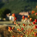 Rural Chousa *