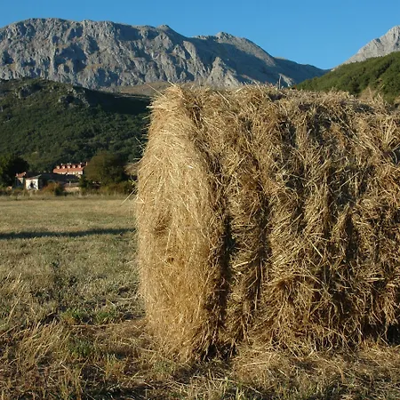 Rural Chousa