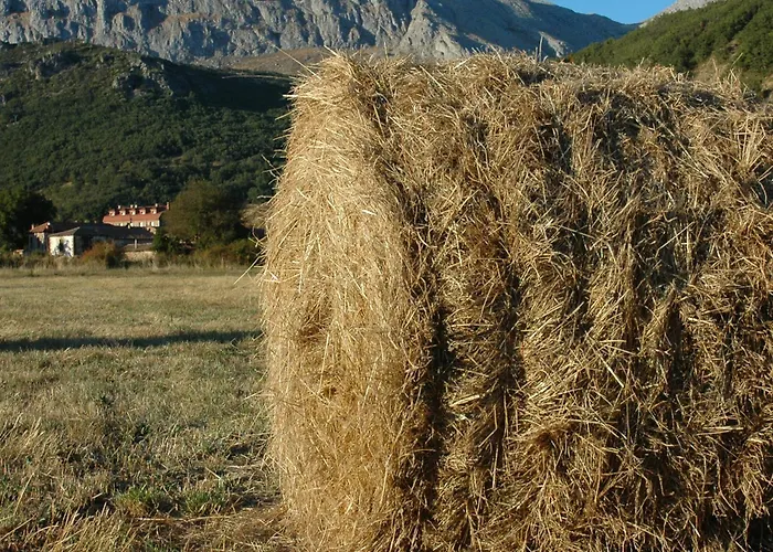 Rural Chousa